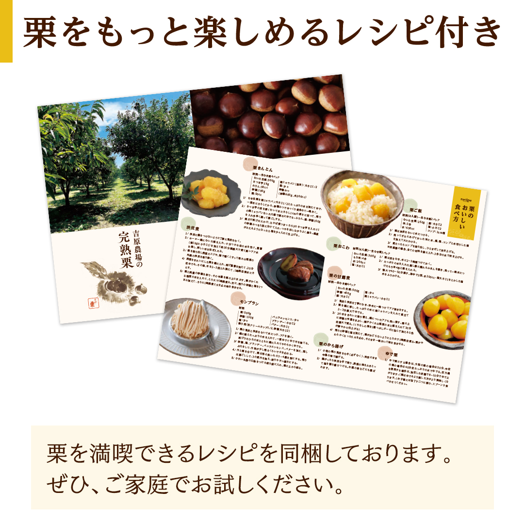 吉原農場 の 完熟栗 】 熟成 生栗 1kg Lサイズ ・ 生むき栗 3袋