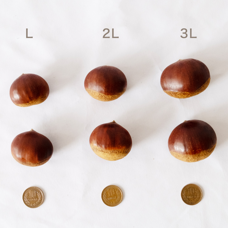 吉原農場 の 完熟栗 】 熟成 生栗 1kg 2Lサイズ ・ 生むき栗 3袋