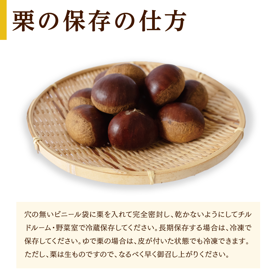 さちこ様　生栗　5キロ　9月下旬 吉原農場 の 完熟栗 】 熟成 栗 お楽しみ セット ( 生栗 Lサイズ