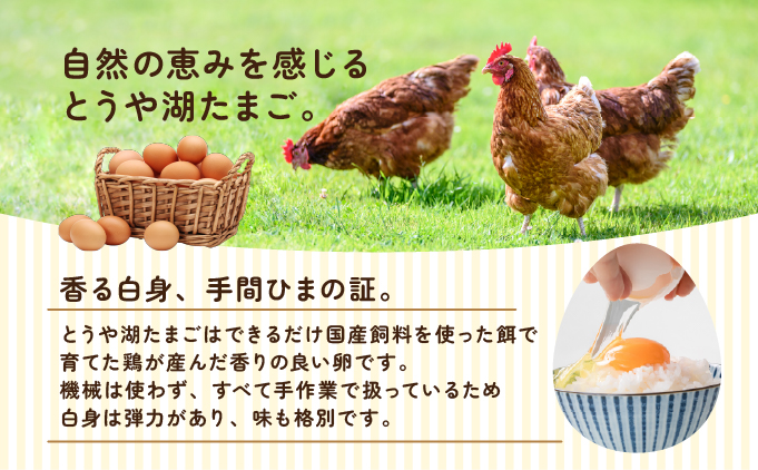 北海道伊達市のふるさと納税 北海道 伊達市 とうや 卵  20個 入り たまご