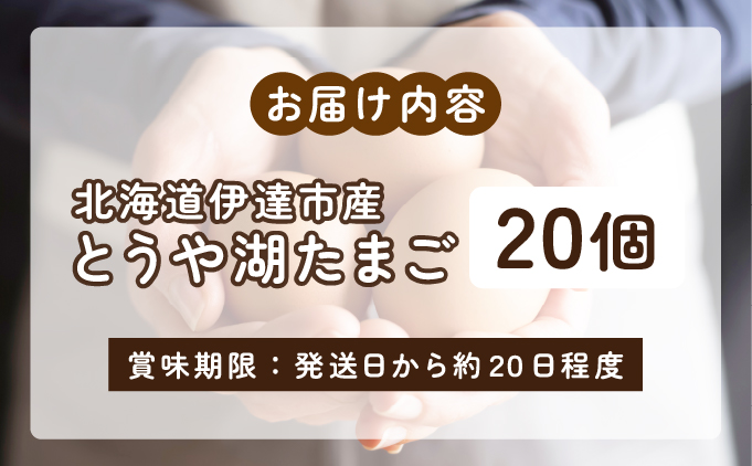 北海道伊達市のふるさと納税 北海道 伊達市 とうや 卵  20個 入り たまご