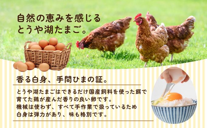 北海道伊達市のふるさと納税 【6ヵ月 定期便】 北海道 伊達市 とうや 卵 鉄  20個 入り たまご