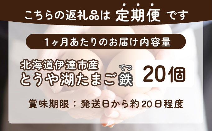北海道伊達市のふるさと納税 【6ヵ月 定期便】 北海道 伊達市 とうや 卵 鉄  20個 入り たまご