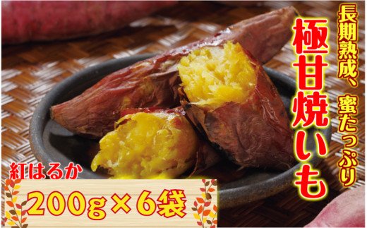 長期熟成!極甘しっとり焼き芋/紅はるか1.2kg_1782R