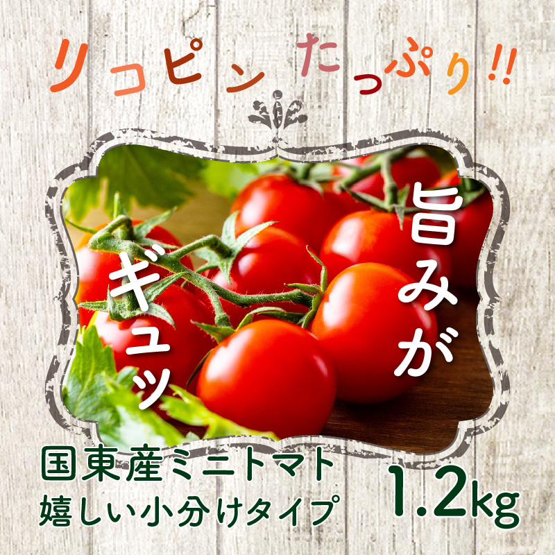 宮古島産 トマト（フルティカ）1.5kg 送料無料 産地直送 農家直送 - 野菜