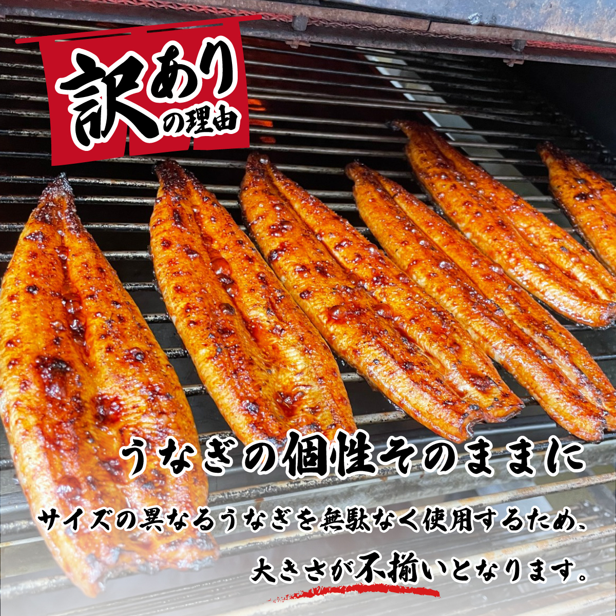 茨城県八千代町のふるさと納税 【 訳アリ 】【レビューキャンペーン】 国産うなぎ 蒲焼き 5尾 セット ( 640g 以上) 大きさ の不揃い 山椒付き ウナギ 鰻 ふぞろい 不揃い うな重 ひつまぶし 人気 茨城 八千代町 ふるさと納税 冷凍 [SF143ya]