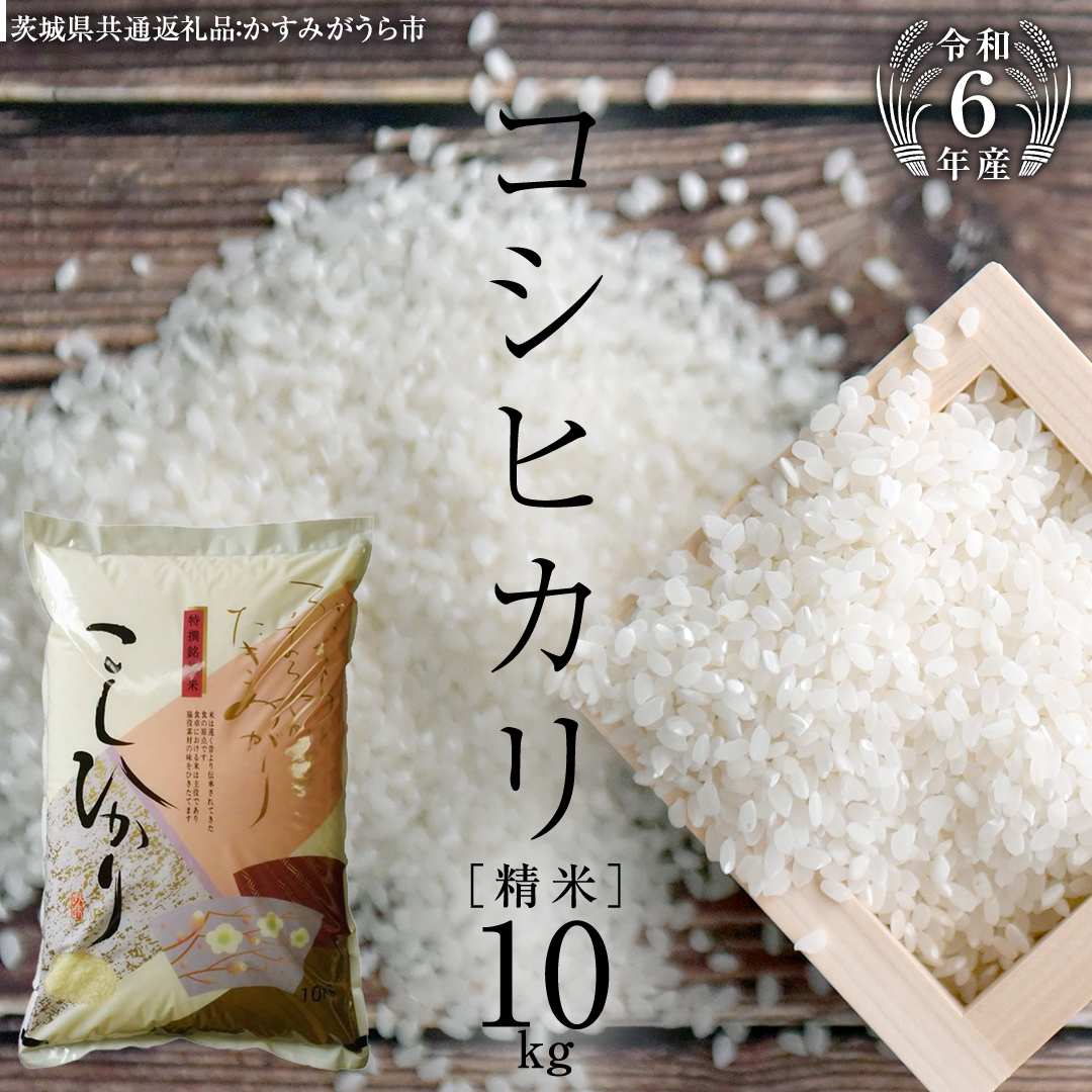 [令和6年産] コシヒカリ 精米 10kg ( 10kg × 1袋 ) (茨城県共通返礼品 かすみがうら市) 米 ごはん もっちり 甘い コメ お米 白米 [EX009sa]