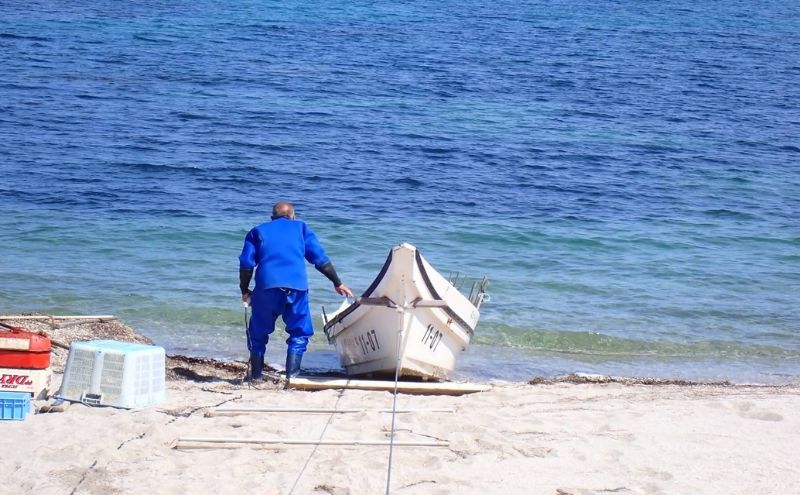 北海道 礼文島産] 天然 寒岩のり 3枚 【 海苔 岩海苔 海藻手作り