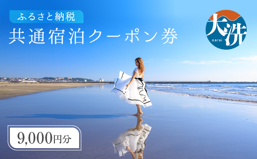 茨城県大洗町のふるさと納税 大洗町 共通 宿泊 クーポン 9,000円分 （3,000円×3枚） 関東 茨城