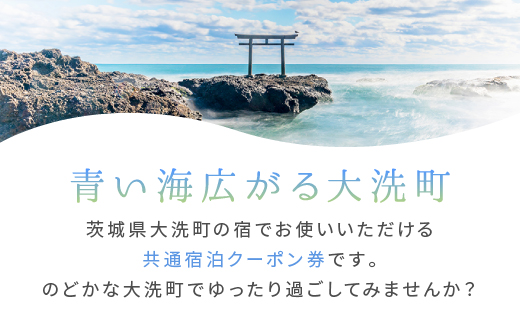 茨城県大洗町のふるさと納税 大洗町 共通 宿泊 クーポン 9,000円分 （3,000円×3枚） 関東 茨城