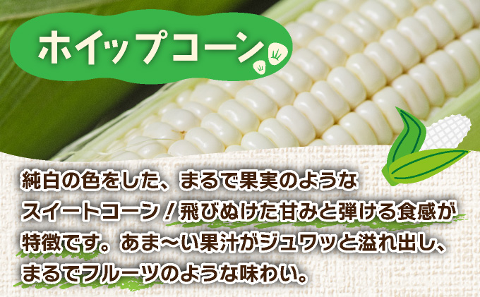 とうもろこし様 リクエスト 2点 まとめ商品 1d5af6359c85cdbd9779f1f1b22704