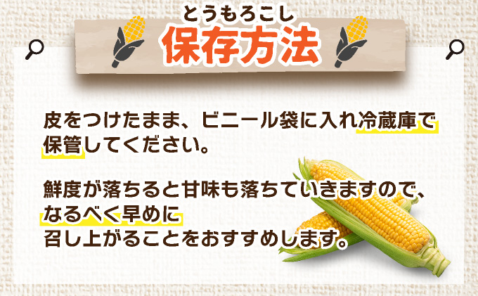 とうもろこし様 リクエスト 2点 まとめ商品 とうもろこし様 リクエスト 2点 まとめ商品 - メルカリ