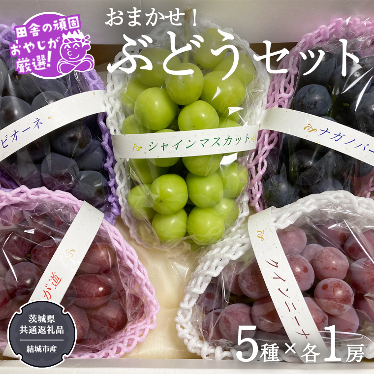 (ベティ)桃とぶどうセット ベティ様専用)桃とぶどうセット