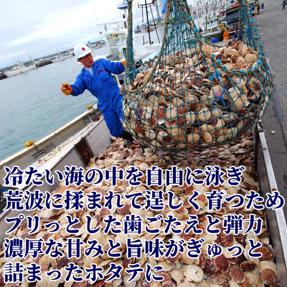 北海道紋別市のふるさと納税 19-76 北海道オホーツク海産ホタテ玉冷バラエティサイズ(1kg)| 訳あり サイズ不揃い