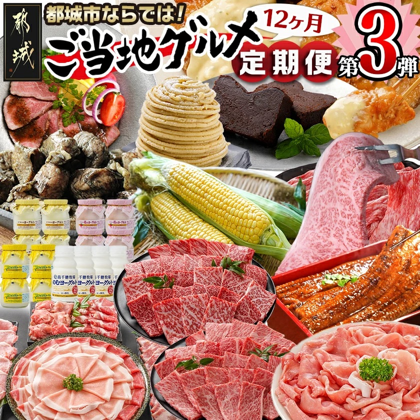 [セレクト定期便]第3弾☆都城市ご当地グルメ定期便(12ヶ月)≪2026年お届け≫