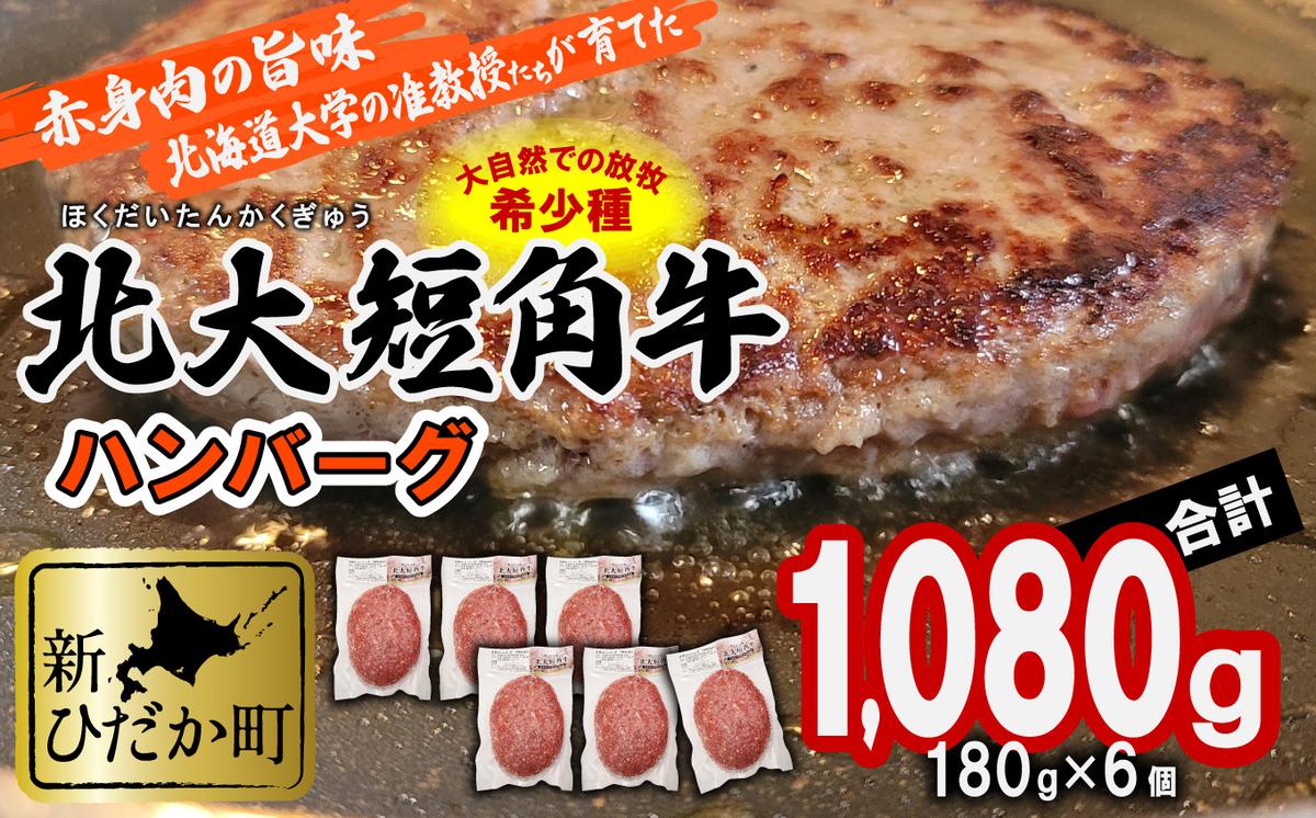 【北海道新ひだか町】北海道産 北大 短角牛 ハンバーグ 計 1080g (180g×6枚)