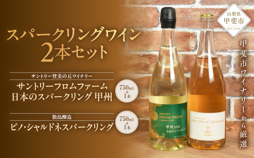 甲斐市産スパークリングワイン2本セット ワイン 家飲み