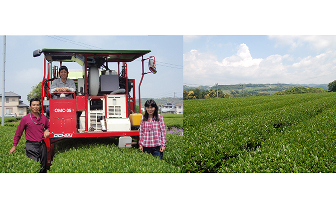 ふるさと納税 静岡県 袋井市 袋井産深蒸し茶「月」5本セット日本茶