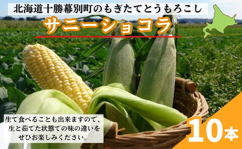 ［2024年出荷先行予約］もぎたてとうもろこし黄色10本【十勝幕別 北海道ホープランド農場】