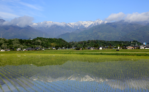 dショッピング |令和6年産 無洗米 三重県産 コシヒカリ 10kg 5kg