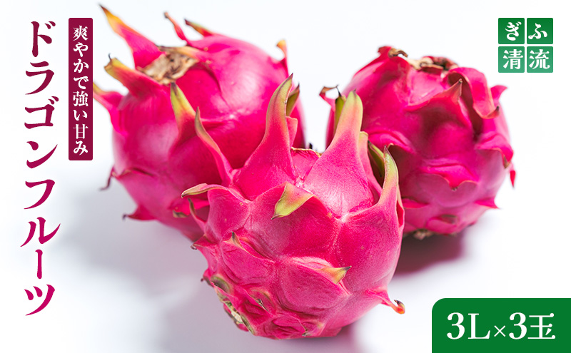 y򕌌sz{{Ђ̃hSt[c 3LTCY3bʕ t[c { ̂ꂽ  񂹃O fU[g XC[c  p 蕨 Mtg v[g kCEꌧEւ̔zs 2026N6{`7{ɏ\