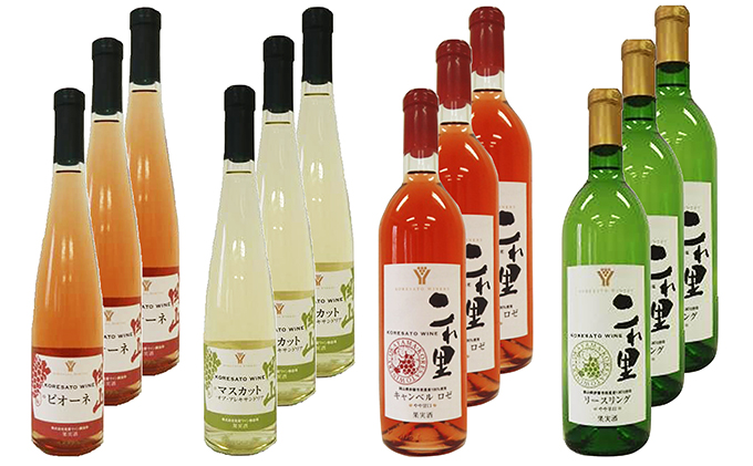 岡山県赤磐市のふるさと納税 是里ワイン　特選4種12本セット