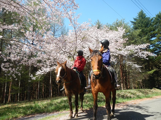 長野県小諸市のふるさと納税 まきば軽井沢　ほっこり50分乗馬体験　1名様 長野 信州 小諸 大自然 体験チケット