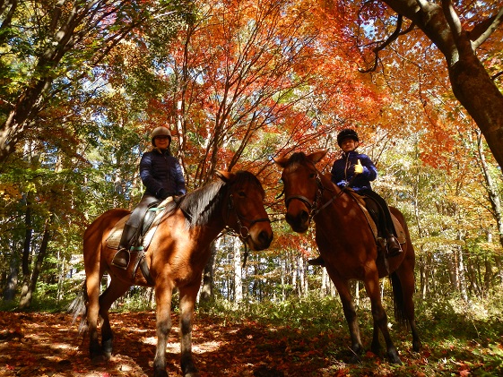 長野県小諸市のふるさと納税 まきば軽井沢　ほっこり50分乗馬体験　1名様 長野 信州 小諸 大自然 体験チケット