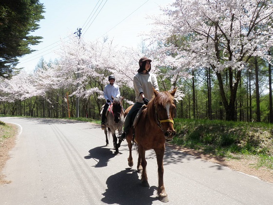 長野県小諸市のふるさと納税 まきば軽井沢　まったり100分乗馬体験　1名様 長野 信州 小諸 大自然