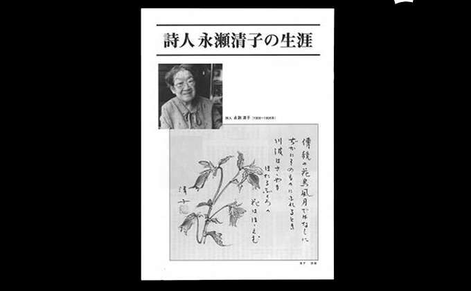 【岡山県赤磐市】詩人永瀬清子作品集 詩集 本