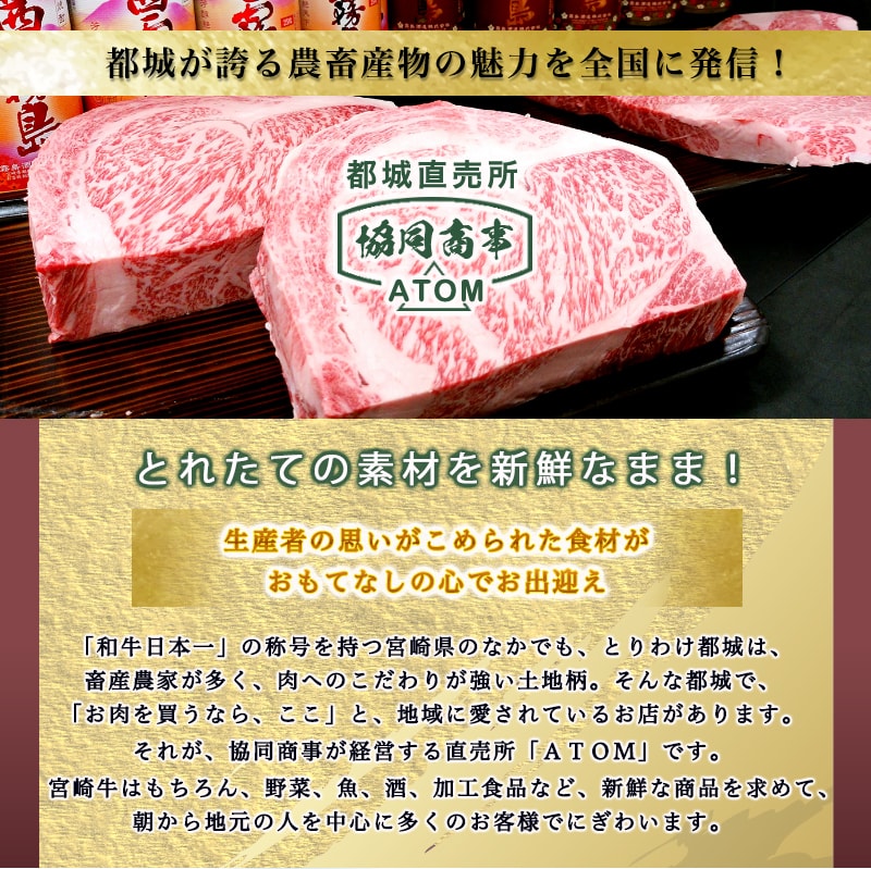 宮崎県都城市のふるさと納税 宮崎牛(A5)スライス食べ比べ600g_AC-0106
