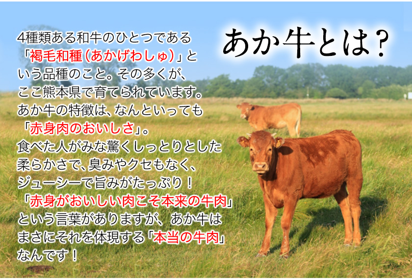 熊本県産 あか牛ローストビーフ用ブロック 約500g(約250g前後×2) 《90日以内に順次出荷(土日祝除く)》 肉のみやべ 熊本県御船町|