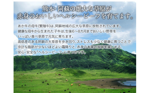 熊本県産 あか牛ローストビーフ用ブロック 約500g(約250g前後×2) 《90日以内に順次出荷(土日祝除く)》 肉のみやべ 熊本県御船町|