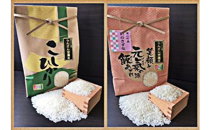 埼玉県嵐山町のふるさと納税 特別栽培米「コシヒカリ・彩のきずな」食べくらべセット