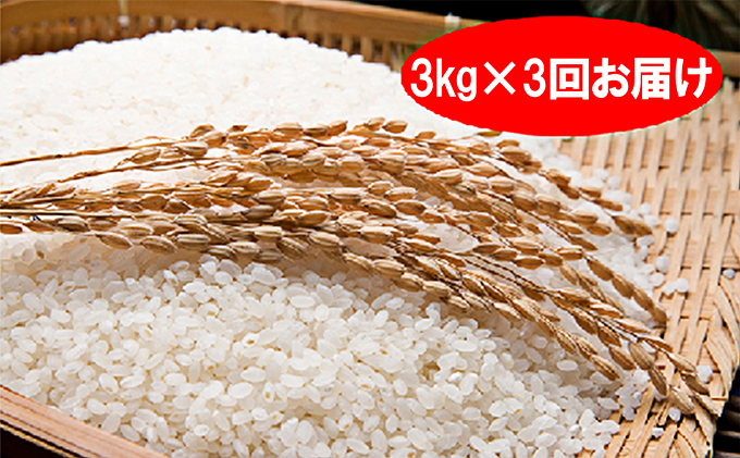 埼玉県嵐山町のふるさと納税 特別栽培米「彩のきずな」白米9kg（3kg×3回のお届け）