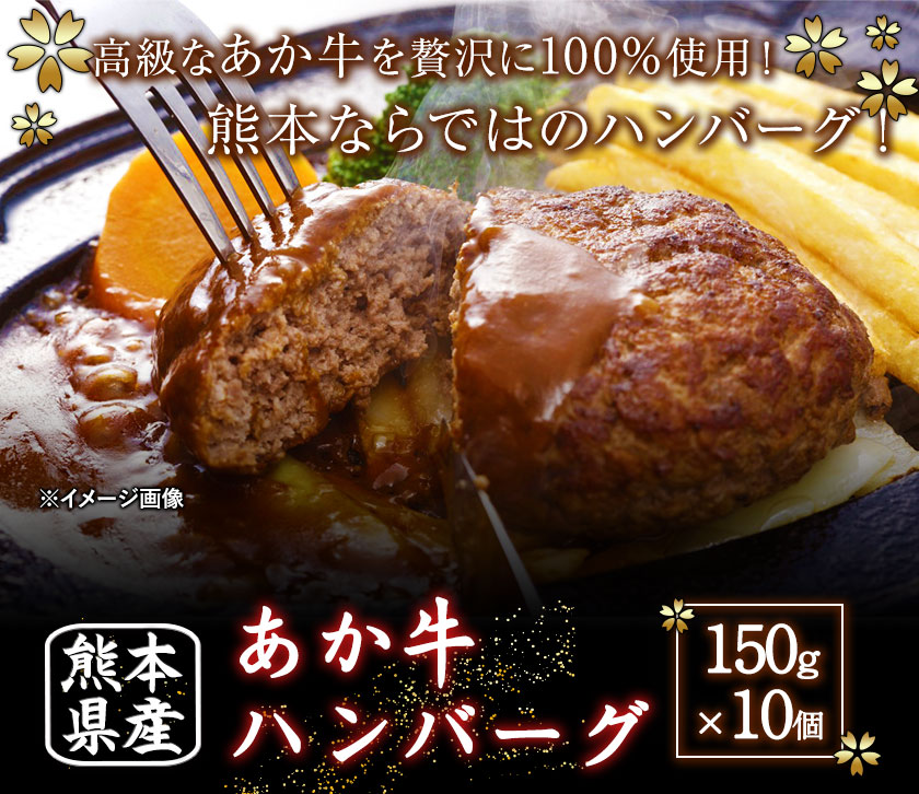 あか牛ハンバーグ150ｇ×10個 《90日以内に順次出荷(土日祝除く)》 送料無料 冷凍 肉 送料無料 御船屋 熊本県御船町 / 熊本県御船町 |  セゾンのふるさと納税