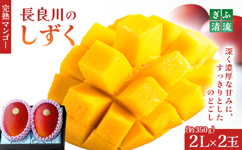 y򕌌szӐn}S[2 NWbgς̂݁bʕ t[c { ̂ꂽ  񂹃O fU[g XC[c  p 蕨 Mtg v[g kCEꌧEւ̔zs 2026N6{`7{ɏ\