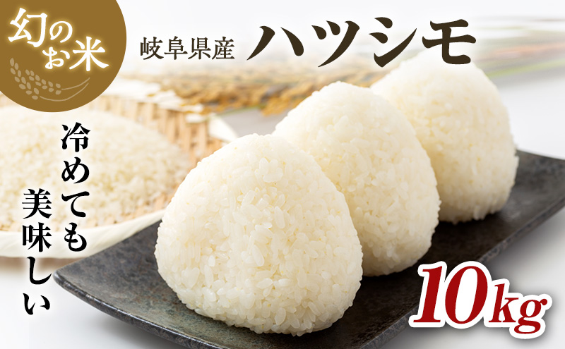 【岐阜県瑞穂市】新米 令和7年産 岐阜県産 ハツシモ 10kg|お米 ※離島への配送不可 ※2025年11月下旬頃より順次発送予定