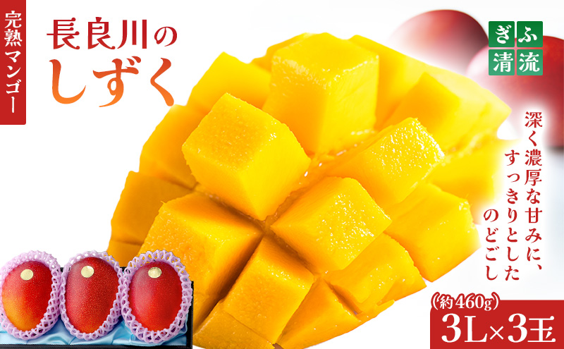 y򕌌szӐn}S[3Zbgbbʕ t[c { ̂ꂽ  񂹃O fU[g XC[c  p 蕨 Mtg v[g kCEꌧEւ̔zs 2026N6{`7{ɏ\