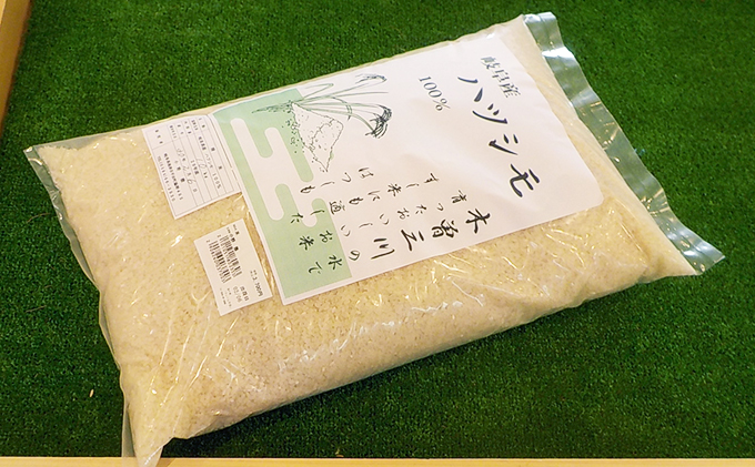 米 定期便 10kg 4ヶ月 幻の米 ハツシモ（岐阜県海津市） ふるさと納税サイト「ふるさとプレミアム」