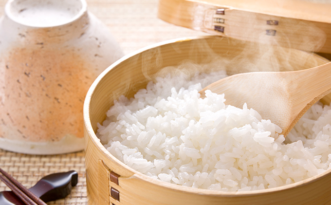 岐阜県揖斐郡産 味のいび米 はつしも 精米20kg|いび川農業協同組合