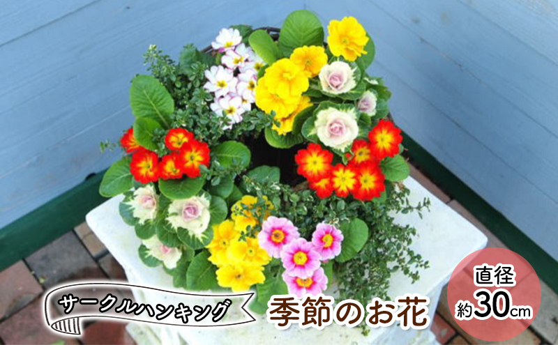 福岡県朝倉市　季節のお花でハンキングバスケット（ピンク系）　ふるさと納税　その他花、ガーデニング