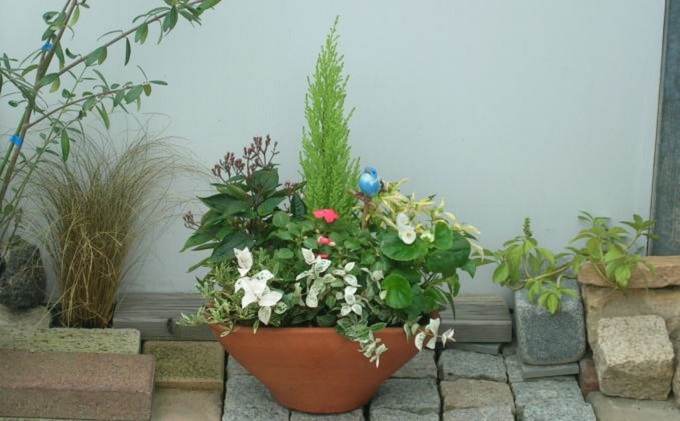 ふるさと納税 季節のお花寄せ植え（白鳥型鉢） 福岡県朝倉市 その他花