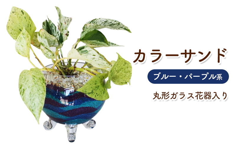 福岡県朝倉市のふるさと納税 カラーサンド ガラス花器:丸 ブルー パープル系 インテリア 植物