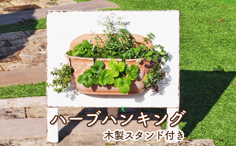 福岡県朝倉市のふるさと納税 植物 ハーブのハンキング 木製スタンド付き ハーブ インテリア ガーデン