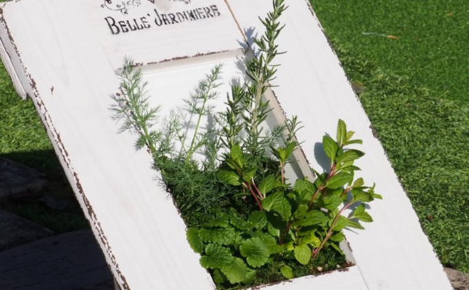 ハーブの寄せ植え 額縁プランター 福岡県朝倉市 セゾンのふるさと納税