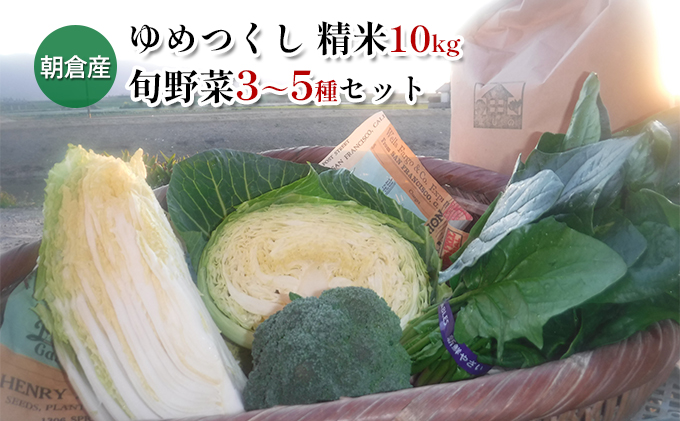福岡県朝倉市のふるさと納税 米 10kg 季節野菜 セット 精米 ゆめつくし