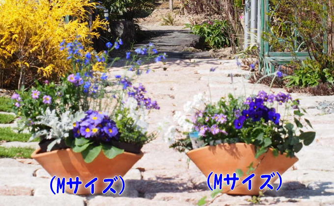福岡県朝倉市のふるさと納税 ブルー・パープルの寄せ植え（舟形Mサイズ）2個