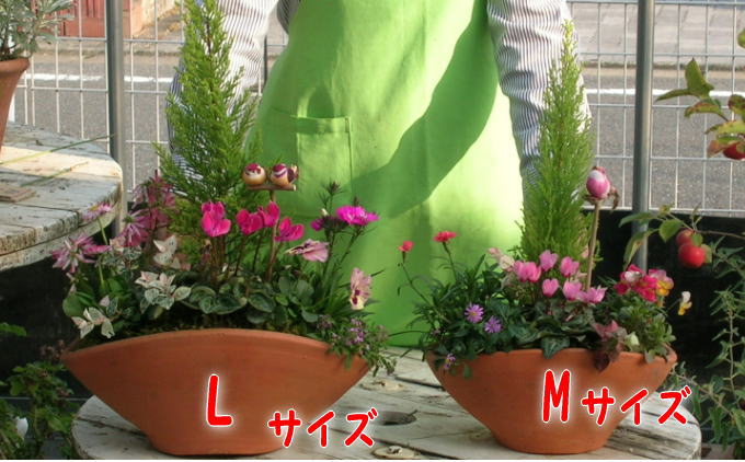 可愛いお花畑の寄せ植えL・Mサイズ（2個セット）（福岡県朝倉市） | ふるさと納税サイト「ふるさとプレミアム」