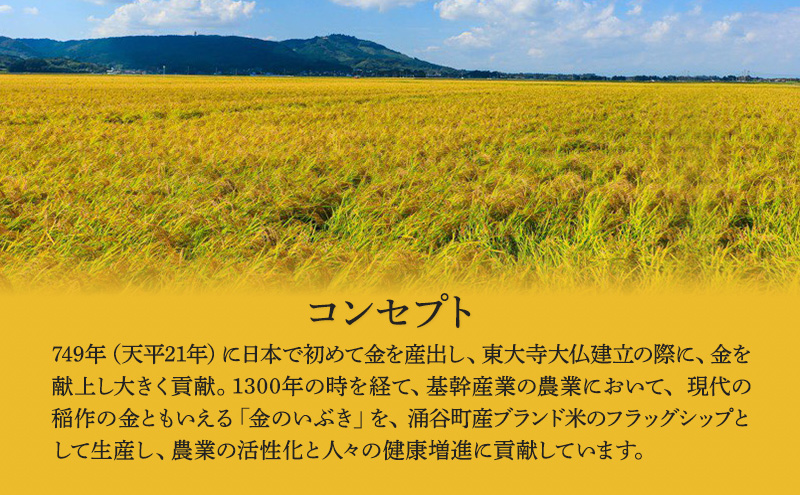 金のいぶき玄米 5kg / 宮城県涌谷町 | セゾンのふるさと納税